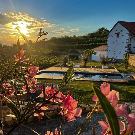 Skerlj Wine Estate Pensionat Tomaj Eksteriør billede