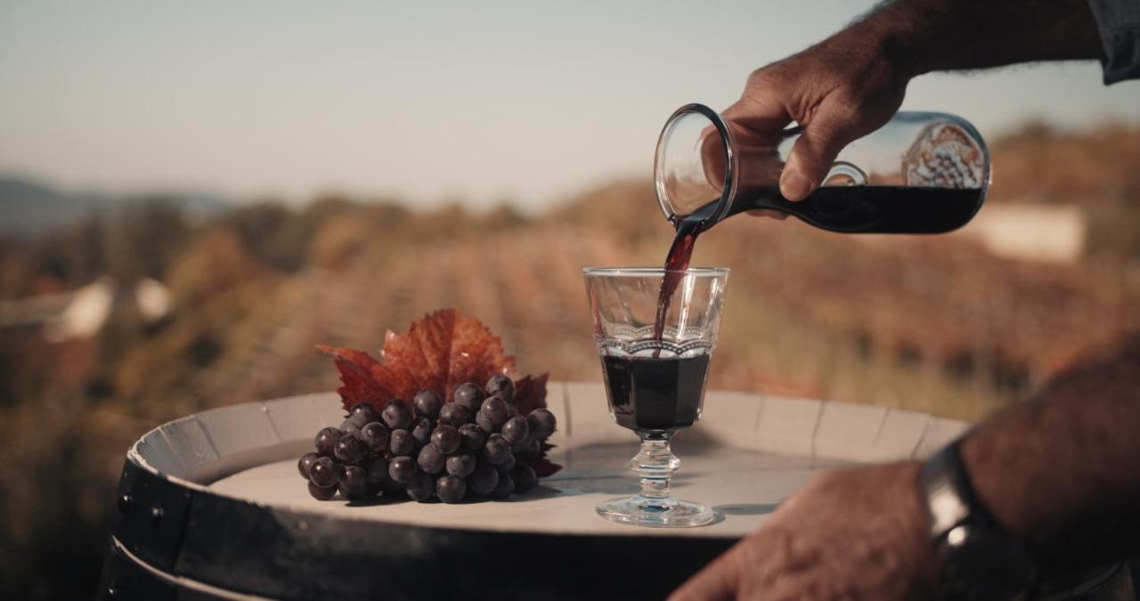 Skerlj Wine Estate Pensionat Tomaj Eksteriør billede