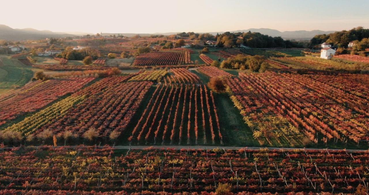 Skerlj Wine Estate Pensionat Tomaj Eksteriør billede