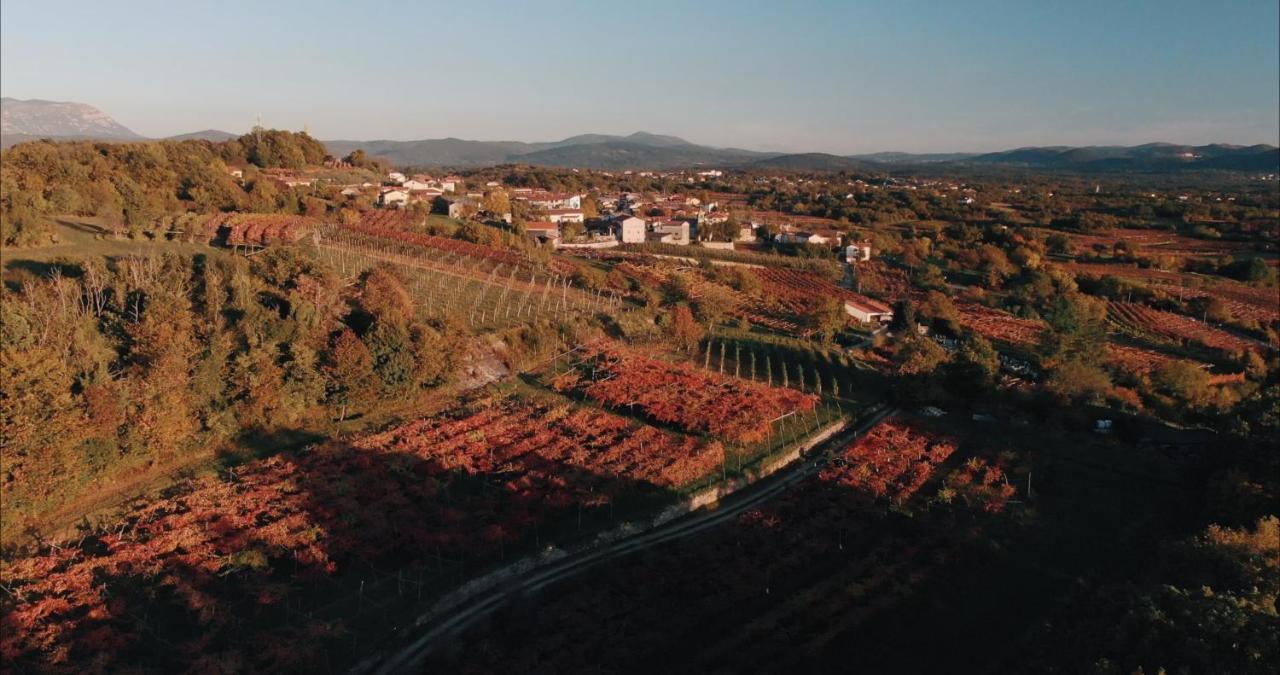 Skerlj Wine Estate Pensionat Tomaj Eksteriør billede