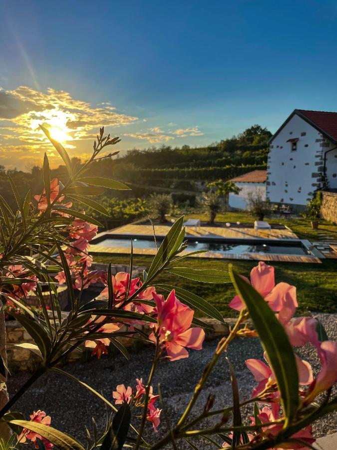 Skerlj Wine Estate Pensionat Tomaj Eksteriør billede