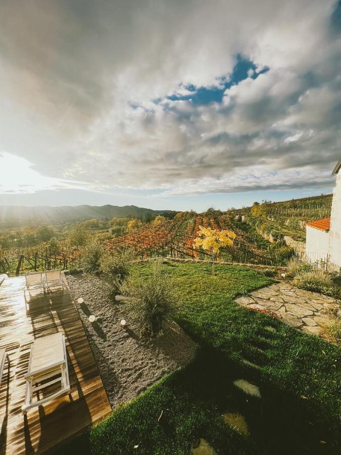 Skerlj Wine Estate Pensionat Tomaj Eksteriør billede